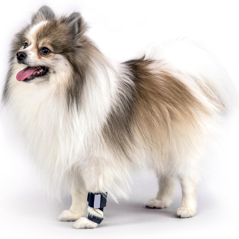 Carpal Hyperextension Dog Brac - Ankle Mobility Band recension och pris